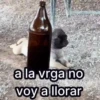 🐱Animalitos gracioso🐶🐕 Mov 26