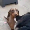 ️Tik tok mov 6 ️ 16