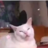 ️Tik tok mov 6 ️ 18