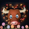 Animales Navideños🎄💞1🇵🇪Movi 19