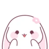 Cute Rabbit 🐇 💖MOV 19