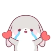 Cute Rabbit 🐇 💖MOV 20