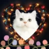 Animales Navideños🎄💞1🇵🇪Movi 20