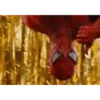 Spiderman 2000s 20