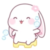 Cute Rabbit 🐇 💖MOV 21