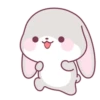 Cute Rabbit 🐇 💖MOV 22