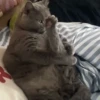 🐱Animalitos gracioso🐶🐕 Mov 28