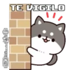 Gatitos(Cute)💝1🇧🇷Movi 15