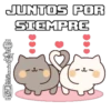 Gatitos(Cute)💝1🇧🇷Movi 16
