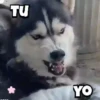️Tik tok mov 6 ️ 22