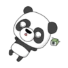 Three Bear Story 🐻🐼4 Mov 17