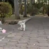 ️Tik tok mov 6 ️ 24