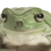 frogs for the frog gal 16