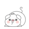 ✴️Cerdito lindo⭐🌈MOV 28