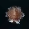 Chicas Img 66👩🏻‍🎨 Efec1712 28