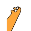 Catino World 24