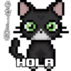 Gatitos(Cute)💝1🇧🇷Movi 20