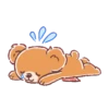 UNIBEARSITY NEW  ANIMATED STICKERS 24
