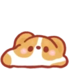 Corgi KaKa 3 -a 💖MOV 17