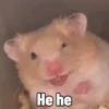 🐱Animalitos gracioso🐶🐕 Mov 30