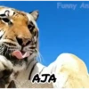 ️Tik tok mov 5 ️ 5