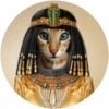 Gatitos tiernos💞4🇵🇪Movi 6