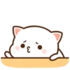 MOCHIS🐈CAT Extra"V" MOV 5