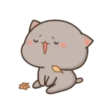 MOCHIS CAT Extra"I" MOV 5