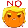 Calabazas 4 🎃MOV. 🇲🇽 6