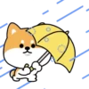 Mameshiba Dog MOV. 6