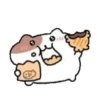 ️Yami hamster MOV 6
