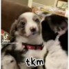 ️Tik tok mov 5 ️ 8
