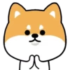 Mameshiba Dog MOV. 8