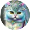Gatitos tiernos💞4🇵🇪Movi 8