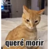 ️tik tok mov 2 ️ 8