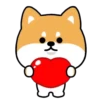 Mameshiba Dog MOV. 9