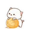 MOCHIS CAT Extra"I" MOV 7