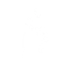 ️Beatiful White ️ 11