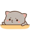 MOCHIS🐈CAT Extra"V" MOV 6