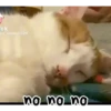 ️Tik tok mov 5 ️ 12