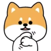 Mameshiba Dog MOV. 11