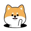 Mameshiba Dog MOV. 12