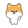 Mameshiba Dog MOV. 13