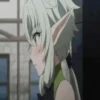 GOBLIN SLAYER. MOV 8