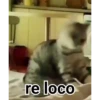 ️Tik tok mov 5 ️ 14
