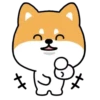 Mameshiba Dog MOV. 14