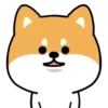 Mameshiba Dog MOV. 15