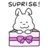 🐇 BuNnY HoP 🐇 8