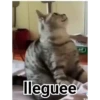 ️Tik tok mov 5 ️ 18