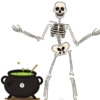 Happy Halloween🎃💞2🇵🇪Movi 12